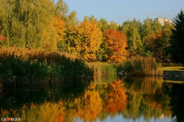 черкаси7 черкаси7