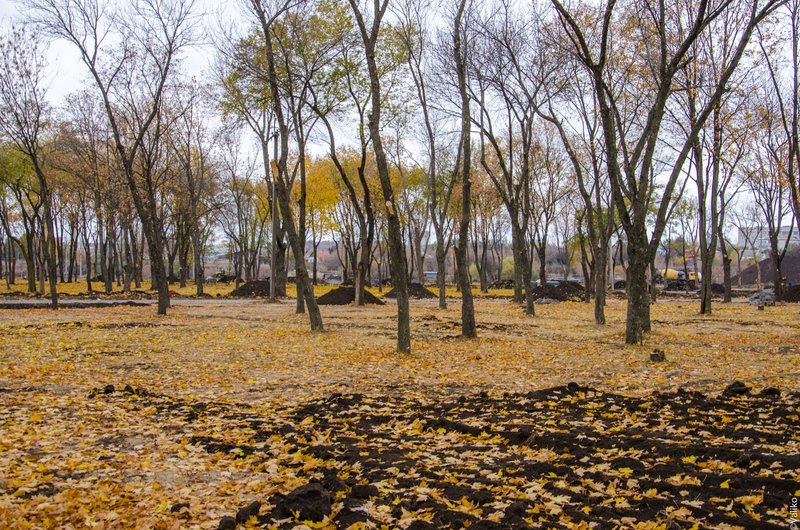 В Синельниково строят первый парк для отдыха (фото) - фото 5 В Синельниково строят первый парк для отдыха (фото) - фото 5