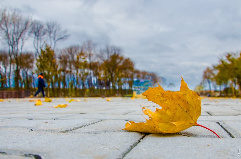 В Синельниково строят первый парк для отдыха (фото) - фото 3 В Синельниково строят первый парк для отдыха (фото) - фото 3