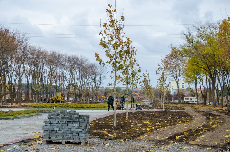 В Синельниково строят первый парк для отдыха (фото) - фото 1 В Синельниково строят первый парк для отдыха (фото) - фото 1