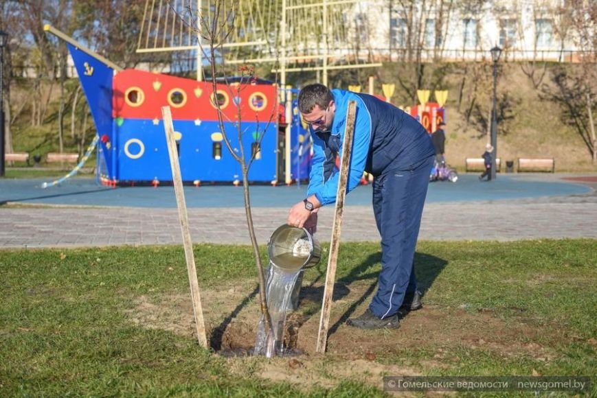 Фотофакт: Мэр Гомеля принял участие в высадке деревьев на о..., фото-5 Фотофакт: Мэр Гомеля принял участие в высадке деревьев на обновленной набережной, фото-5