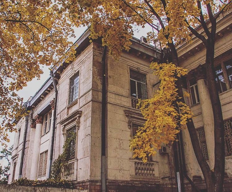 ТОП-10 красивых фотографий днепропетровцев в Instagram (фото) - фот... ТОП-10 красивых фотографий днепропетровцев в Instagram (фото) - фото 10