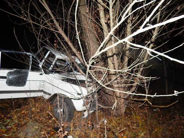 В Любарском районе в изуродованом автомобиле нашли тела двух мужчин... В Любарском районе в изуродованом автомобиле нашли тела двух мужчин (ФОТО) (фото) - фото 1