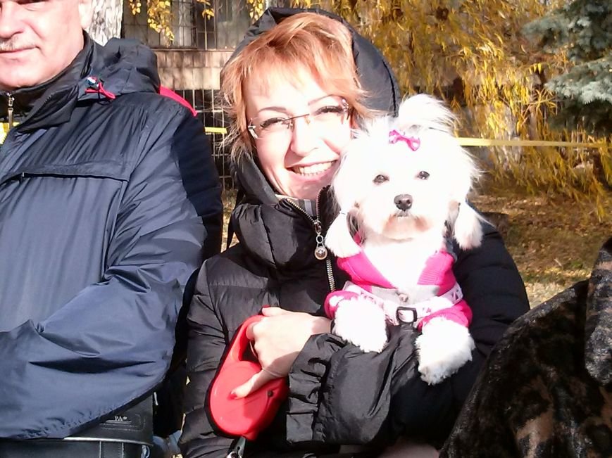 В центре Мариуполя собака спасала хозяина от двух вооруженных прест... В центре Мариуполя собака спасала хозяина от двух вооруженных преступников (ФОТОФАКТ) (фото) - фото 5