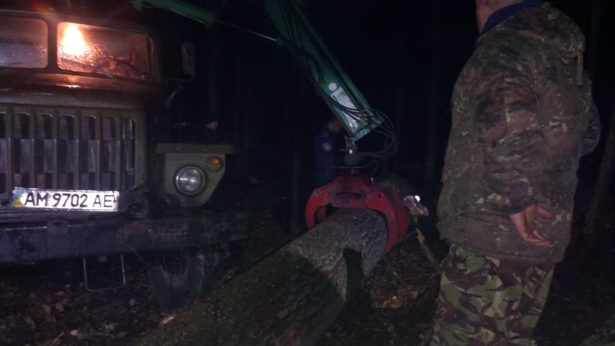 На Житомирщині лісова охорона затримала злісних лісопорушників (фото) - фото 1