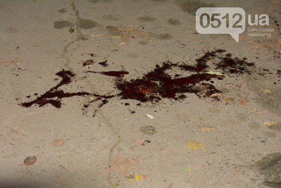 Полиция Николаева кинулась на поиски бандита, обстрелявшего обществ... Полиция Николаева кинулась на поиски бандита, обстрелявшего общественников на выборах мэра (ФОТО) (фото) - фото 3