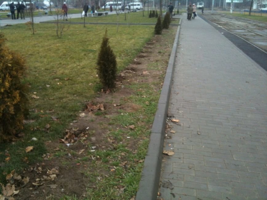 Беспредел: на пр. Мира в Днепропетровске неизвестные снова..., фото-2 Беспредел: на пр. Мира в Днепропетровске неизвестные снова украли зеленые насаждения (ФОТО), фото-2