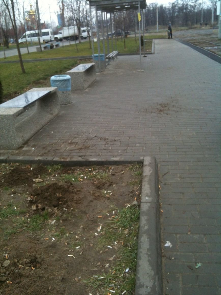Беспредел: на пр. Мира в Днепропетровске неизвестные снова..., фото-1 Беспредел: на пр. Мира в Днепропетровске неизвестные снова украли зеленые насаждения (ФОТО), фото-1