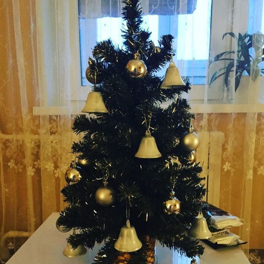 К празднику готовы. 9 новогодних елок полочан и новополочан в Instagram (фото) - фото 2 К празднику готовы. 9 новогодних елок полочан и новополочан в Instagram (фото) - фото 2