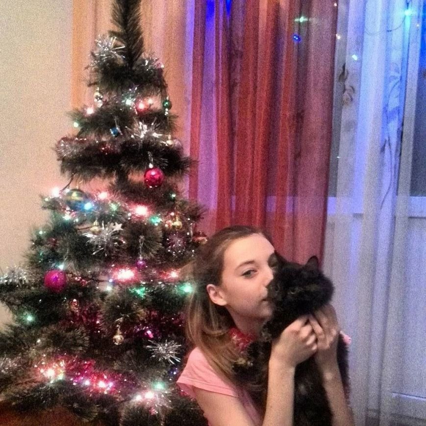 К празднику готовы. 9 новогодних елок полочан и новополочан в Instagram (фото) - фото 9 К празднику готовы. 9 новогодних елок полочан и новополочан в Instagram (фото) - фото 9