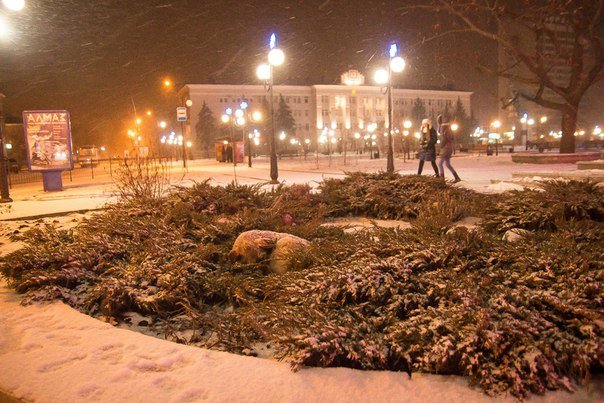 Зимний Бердянск (фото) - фото 4 Зимний Бердянск (фото) - фото 4