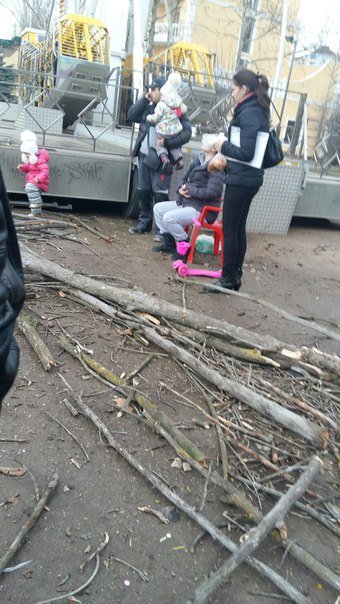 В Симферополе сухое дерево упало на женщину с коляской, - очевидцы... В Симферополе сухое дерево упало на женщину с коляской, - очевидцы (ФОТО) (фото) - фото 3