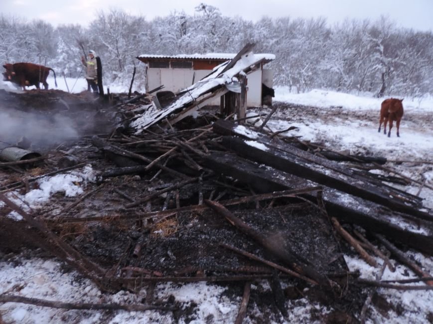 За прошедшие Новогодние праздники в Белореченском районе произошло 2 пожара (фото) - фото 1