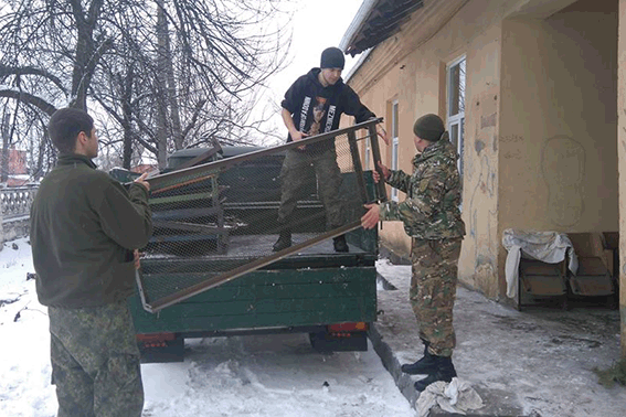 Бойцы Бойцы