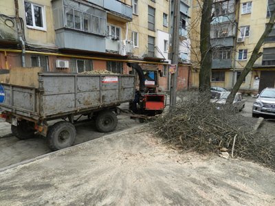 В Днепропетровске наконец спилили аварийные деревья (ФОТО) (фото) -... В Днепропетровске наконец спилили аварийные деревья (ФОТО) (фото) - фото 1