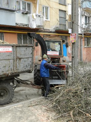 В Днепропетровске наконец спилили аварийные деревья (ФОТО) (фото) -... В Днепропетровске наконец спилили аварийные деревья (ФОТО) (фото) - фото 2
