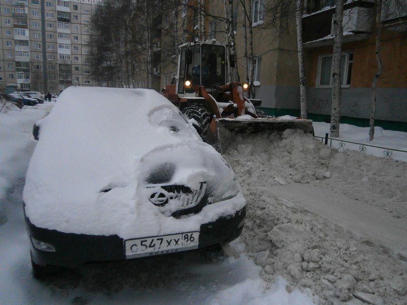 В Нижневартовске чистят снег. И вновь не все автолюбители убирают а... В Нижневартовске чистят снег. И вновь не все автолюбители убирают авто с проезжей части (фото) - фото 1