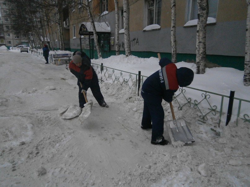В Нижневартовске чистят снег. И вновь не все автолюбители убирают а... В Нижневартовске чистят снег. И вновь не все автолюбители убирают авто с проезжей части (фото) - фото 1