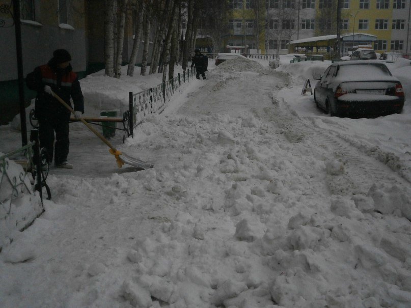 В Нижневартовске чистят снег. И вновь не все автолюбители убирают а... В Нижневартовске чистят снег. И вновь не все автолюбители убирают авто с проезжей части (фото) - фото 1