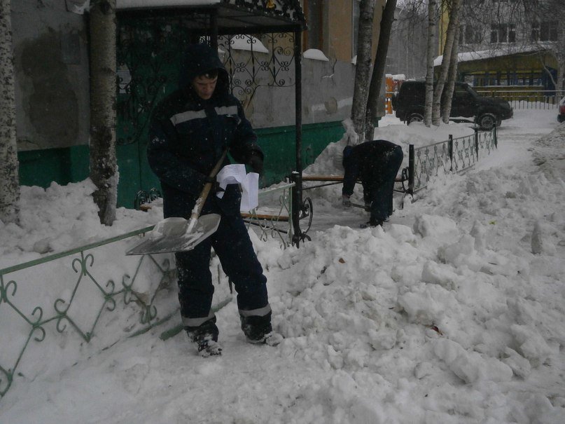 В Нижневартовске чистят снег. И вновь не все автолюбители убирают а... В Нижневартовске чистят снег. И вновь не все автолюбители убирают авто с проезжей части (фото) - фото 1