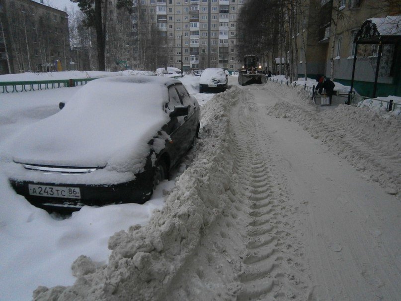 В Нижневартовске чистят снег. И вновь не все автолюбители убирают а... В Нижневартовске чистят снег. И вновь не все автолюбители убирают авто с проезжей части (фото) - фото 1