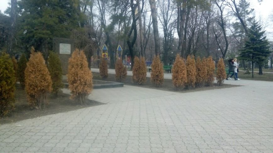 Одни депутаты выразили недоверие двум мариупольским чиновникам, а д... Одни депутаты выразили недоверие двум мариупольским чиновникам, а другие их не поддержали (ФОТО) (фото) - фото 1