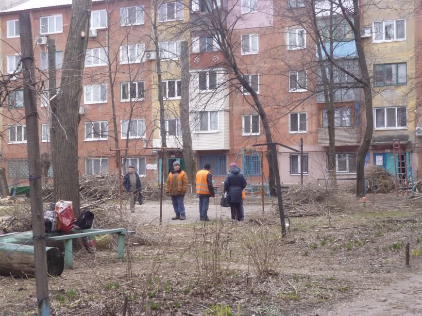 Безжалостная опиловка деревьев в Красноармейске продолжается (фото) - фото 1 Безжалостная опиловка деревьев в Красноармейске продолжается (фото) - фото 1