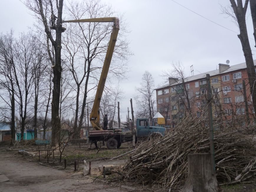 Безжалостная опиловка деревьев в Красноармейске продолжается (фото) - фото 4 Безжалостная опиловка деревьев в Красноармейске продолжается (фото) - фото 4
