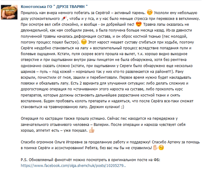 друзья жив друзья жив
