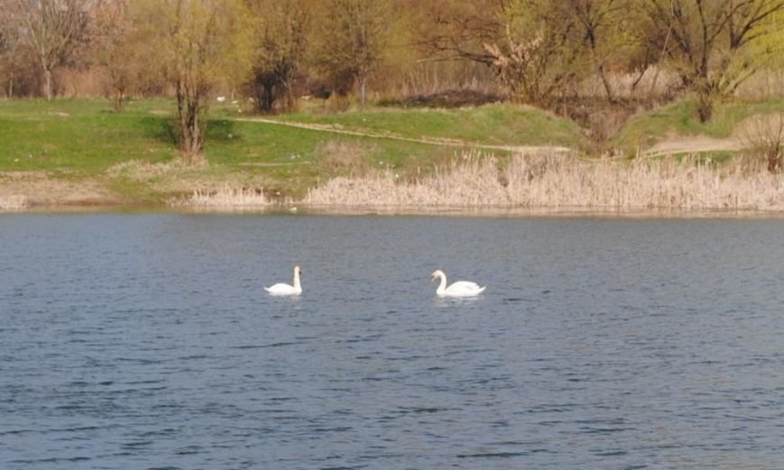 В Ужгороді на В Ужгороді на