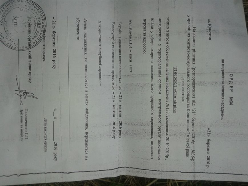 Кому вигідно вирубувати дерева в Конотопі?, фото-3 Кому вигідно вирубувати дерева в Конотопі?, фото-3