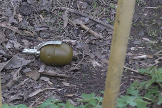 У Рівному на дитячому майданчику виявили гранату (ФОТО. ВІДЕО) (фот... У Рівному на дитячому майданчику виявили гранату (ФОТО. ВІДЕО) (фото) - фото 2