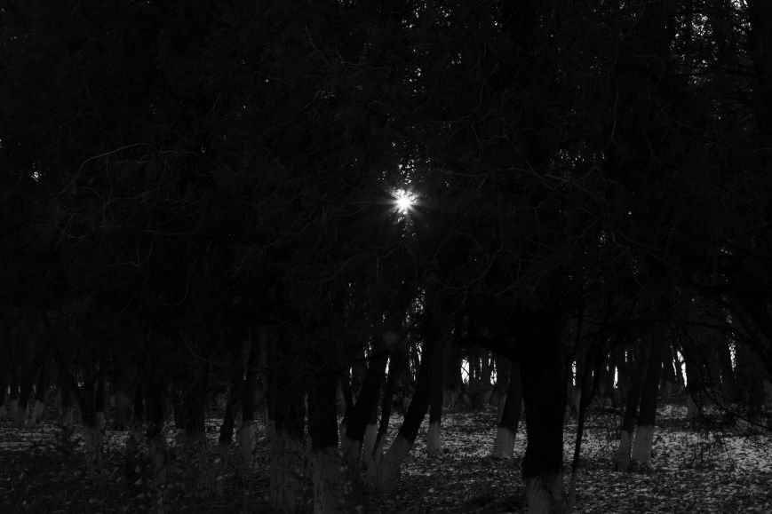 IMG_9768 copy IMG_9768 copy