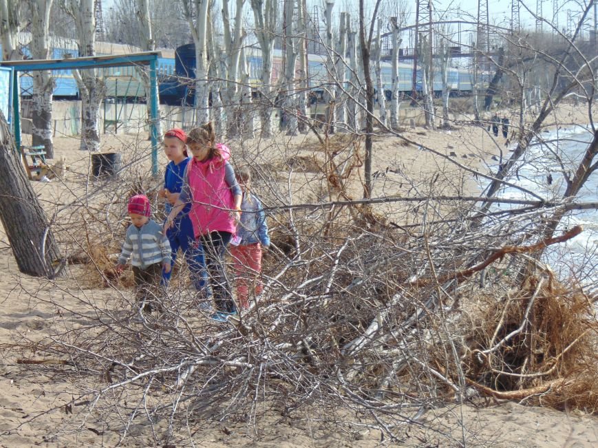 На побережье Мариуполя вырубили деревья (ФОТО) (фото) - фото 1 На побережье Мариуполя вырубили деревья (ФОТО) (фото) - фото 1
