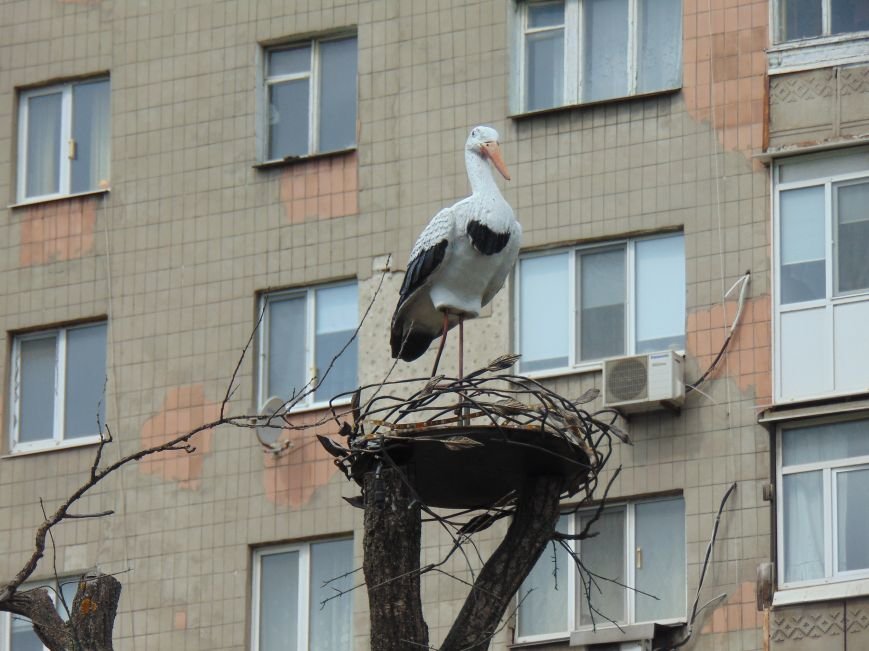 Фотопятница: Фотопятница: