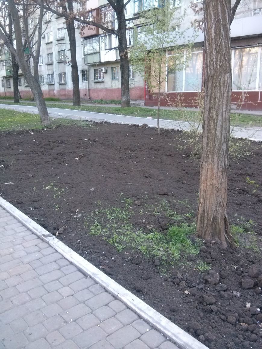 Ко Дню памяти трагедии Чернобыля в Мариуполе благоустроят бульвар Х... Ко Дню памяти трагедии Чернобыля в Мариуполе благоустроят бульвар Хмельницкого (ФОТО) (фото) - фото 1
