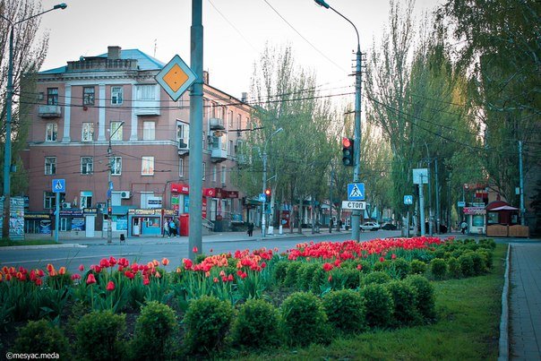 Макеевский блоггер. Макеевка Донецкой области. Макеевка красивые места. Макеевка Весна. Макеевка природа.