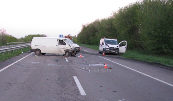 На Рівненщині лось став причиною ДТП (фото) - фото 3 На Рівненщині лось став причиною ДТП (фото) - фото 3