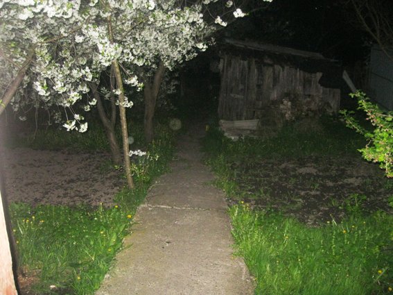 В Рівному поліцейські затримали зловмисника причетного до вбивства... В Рівному поліцейські затримали зловмисника причетного до вбивства (фото) - фото 3