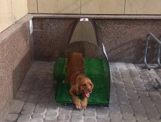 У Рівному ноу-хау - У Рівному ноу-хау -