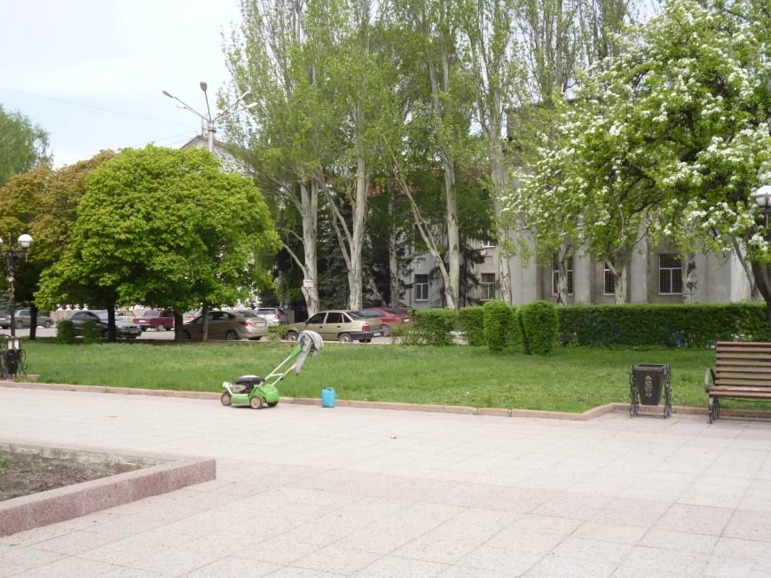 В Красноармейске (Покровске) принялись косить траву: центральный газон города травинка к травинке (фото) - фото 2 В Красноармейске (Покровске) принялись косить траву: центральный газон города травинка к травинке (фото) - фото 2