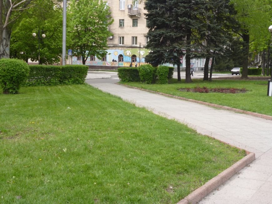 В Красноармейске (Покровске) принялись косить траву: центральный газон города травинка к травинке (фото) - фото 3 В Красноармейске (Покровске) принялись косить траву: центральный газон города травинка к травинке (фото) - фото 3