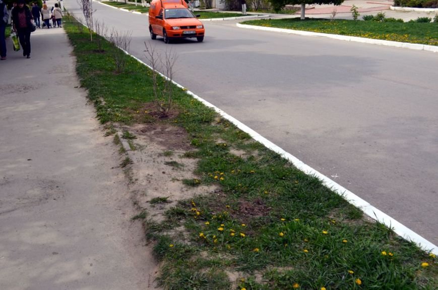 Ще в одному райцентрі Хмельниччини покрали декоративні кущі (Фото)... Ще в одному райцентрі Хмельниччини покрали декоративні кущі (Фото) (фото) - фото 1