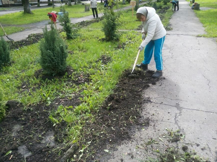 Стартовал второй этап проекта «Ваучер за работу» в Белозерском, фото-1 Стартовал второй этап проекта «Ваучер за работу» в Белозерском, фото-1