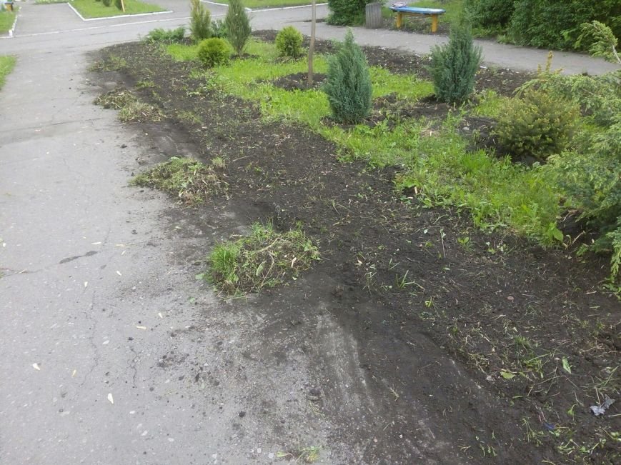 Стартовал второй этап проекта «Ваучер за работу» в Белозерском, фото-3 Стартовал второй этап проекта «Ваучер за работу» в Белозерском, фото-3