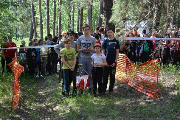 Краматорские спортсмены привезли очередное золото, фото-1 Краматорские спортсмены привезли очередное золото, фото-1