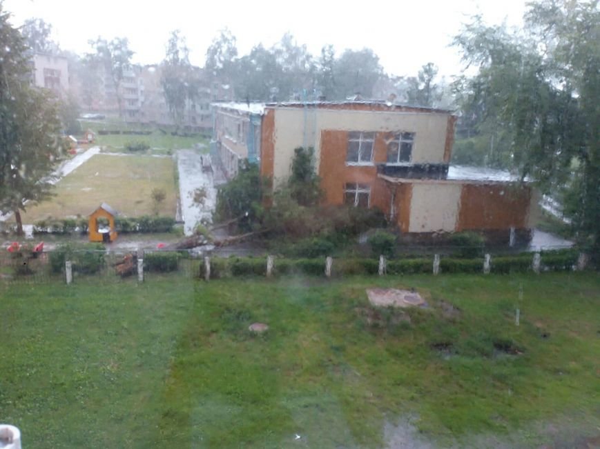 Очевидцы: в Новополоцке во время грозы на детский сад упало дерево. Фото, фото-3