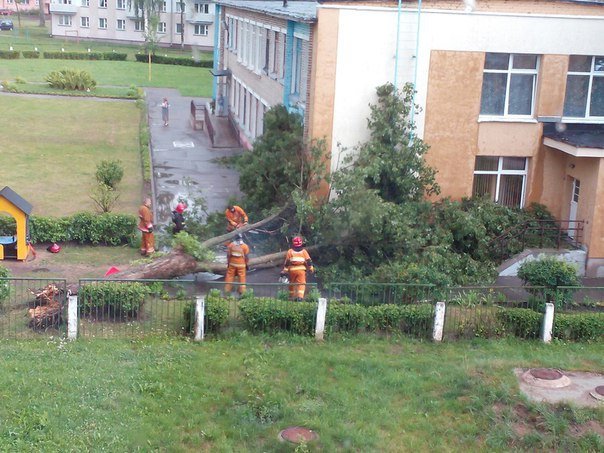 Очевидцы: в Новополоцке во время грозы на детский сад упало дерево. Фото, фото-4