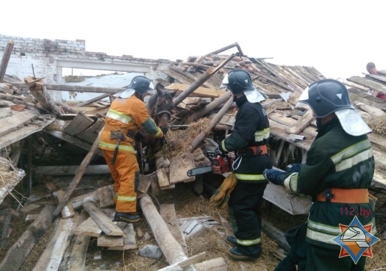 Торнадо в Витебской области: пострадали 3 человека и 35 телят. Фото, видео, фото-2