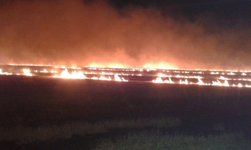 В Кировоградском районе выгорело 4 гектара сухой травы, фото-1 В Кировоградском районе выгорело 4 гектара сухой травы, фото-1